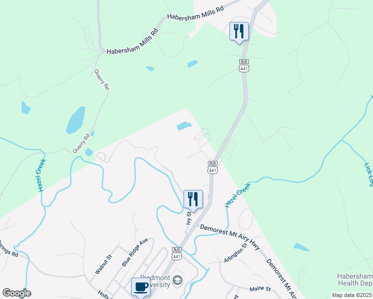 map of restaurants, bars, coffee shops, grocery stores, and more near 253 Alder Street in Demorest