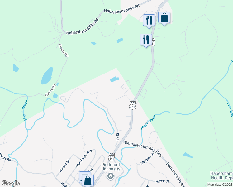 map of restaurants, bars, coffee shops, grocery stores, and more near 253 Alder Street in Demorest
