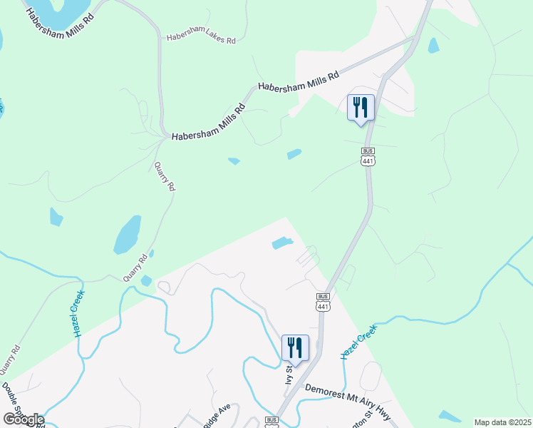 map of restaurants, bars, coffee shops, grocery stores, and more near 230 Gunn Drive in Demorest