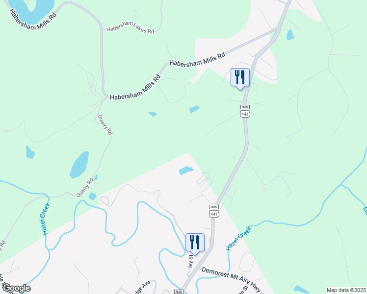 map of restaurants, bars, coffee shops, grocery stores, and more near 228 Gunn Drive in Demorest