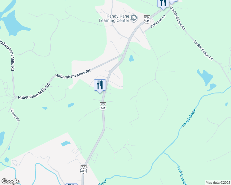 map of restaurants, bars, coffee shops, grocery stores, and more near 728 U.S. 441 Business in Demorest