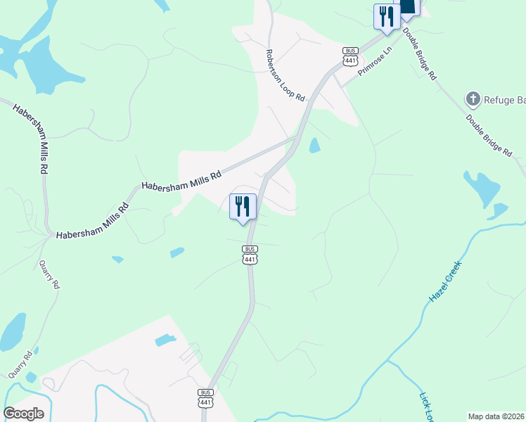 map of restaurants, bars, coffee shops, grocery stores, and more near 728 U.S. 441 Business in Demorest