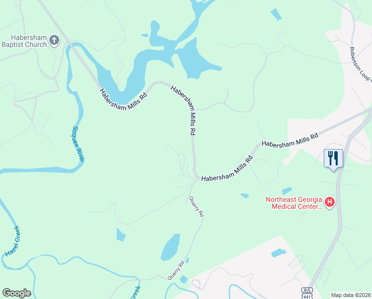 map of restaurants, bars, coffee shops, grocery stores, and more near 298 Smiley York Road in Demorest