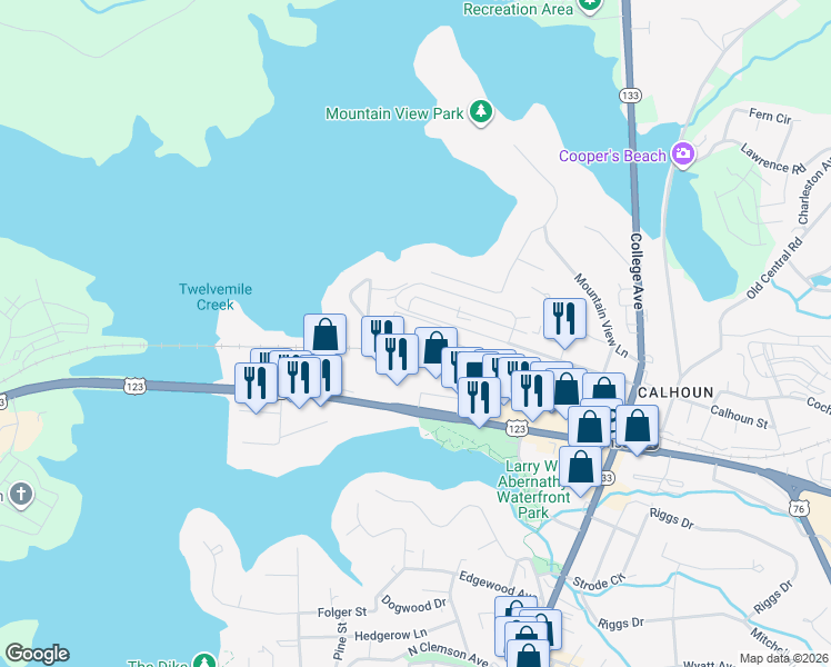 map of restaurants, bars, coffee shops, grocery stores, and more near 250 Elm Street in Clemson
