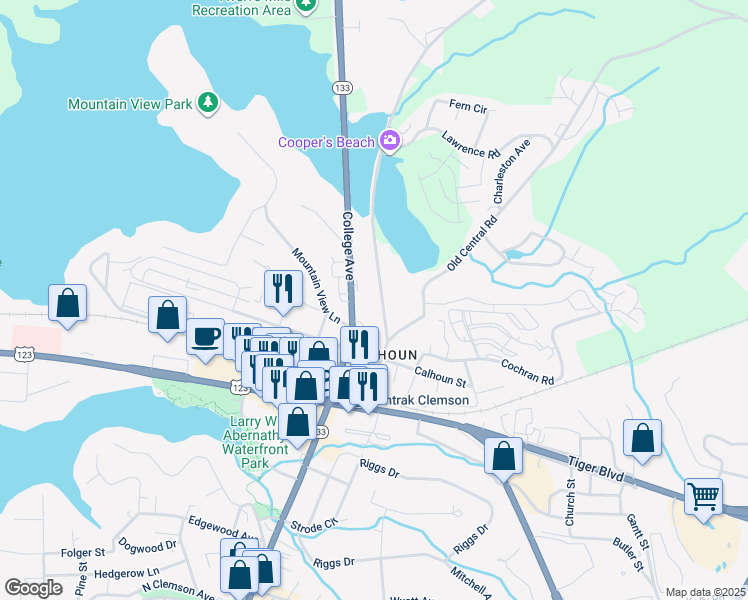 map of restaurants, bars, coffee shops, grocery stores, and more near 119 Clemson Street in Clemson