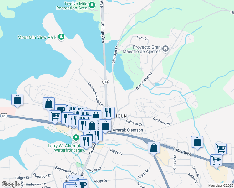 map of restaurants, bars, coffee shops, grocery stores, and more near 116 Clemson Street in Clemson