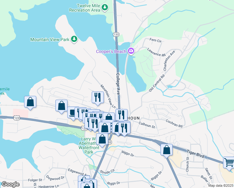 map of restaurants, bars, coffee shops, grocery stores, and more near 807 College Avenue in Clemson