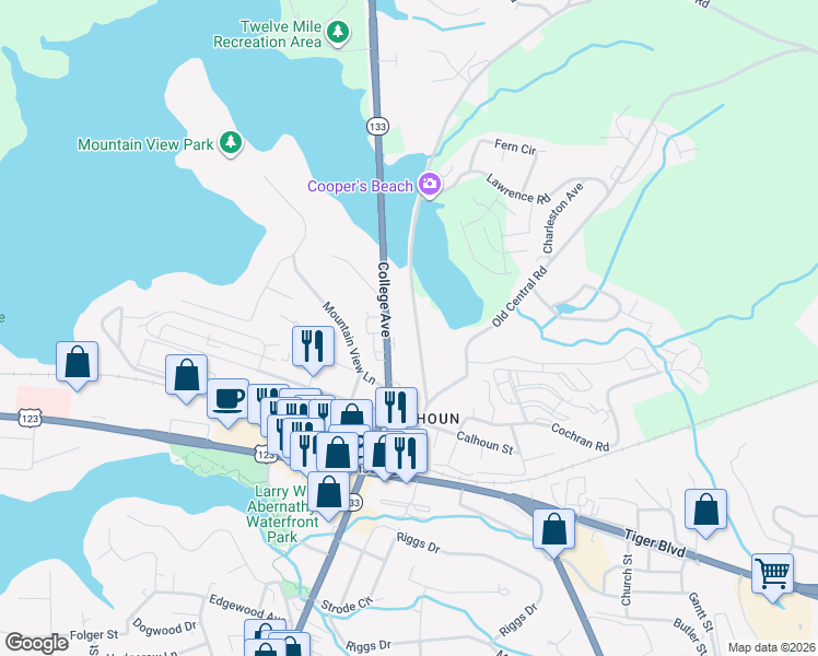 map of restaurants, bars, coffee shops, grocery stores, and more near 125 Clemson Street in Clemson