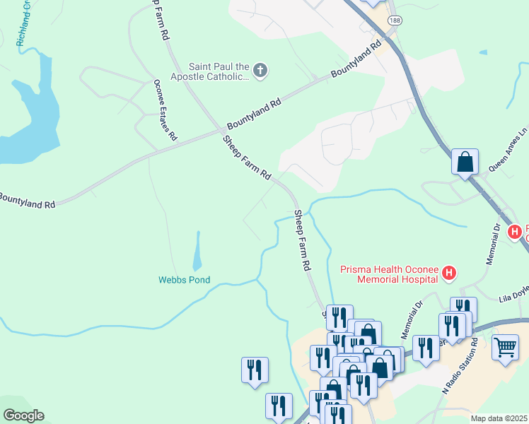 map of restaurants, bars, coffee shops, grocery stores, and more near 207 Stonebrook Drive in Seneca