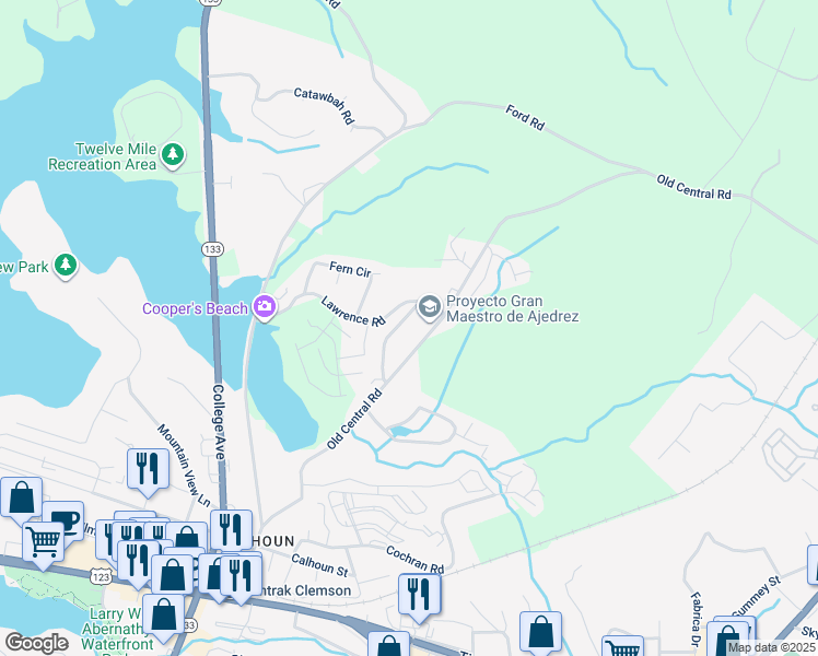 map of restaurants, bars, coffee shops, grocery stores, and more near 224 Charleston Avenue in Clemson
