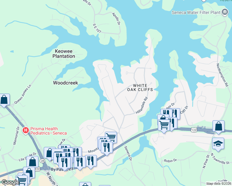 map of restaurants, bars, coffee shops, grocery stores, and more near 201 Red Cardinal Road in Seneca