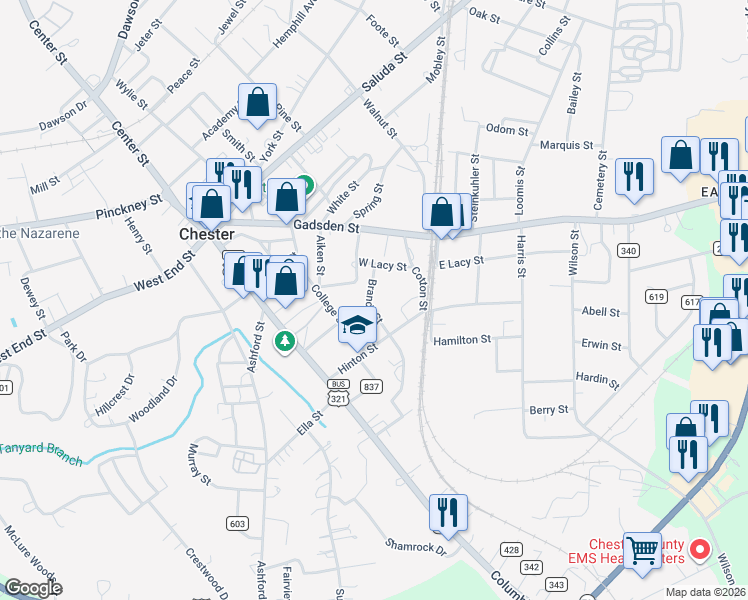 map of restaurants, bars, coffee shops, grocery stores, and more near 113 Branch Street in Chester
