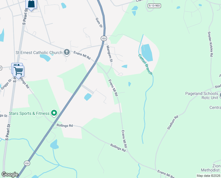 map of restaurants, bars, coffee shops, grocery stores, and more near State Road S-13-54 in Pageland
