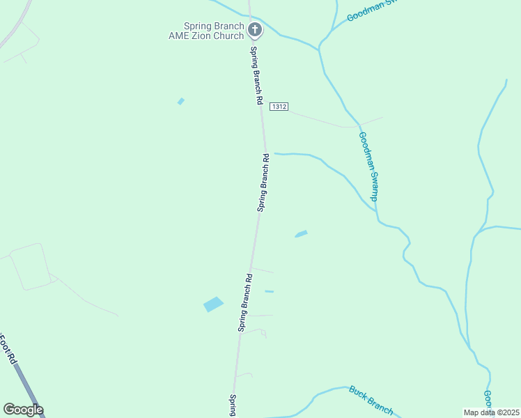 map of restaurants, bars, coffee shops, grocery stores, and more near Spring Branch Road in Bladen County