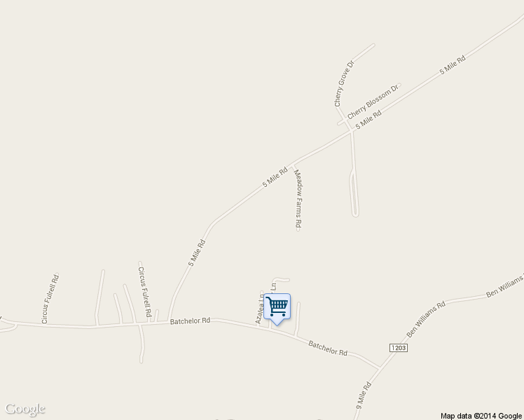 map of restaurants, bars, coffee shops, grocery stores, and more near 1029 5 Mile Rd in Richlands