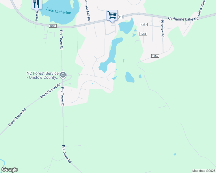 map of restaurants, bars, coffee shops, grocery stores, and more near 127 Sunny Point Drive in Richlands