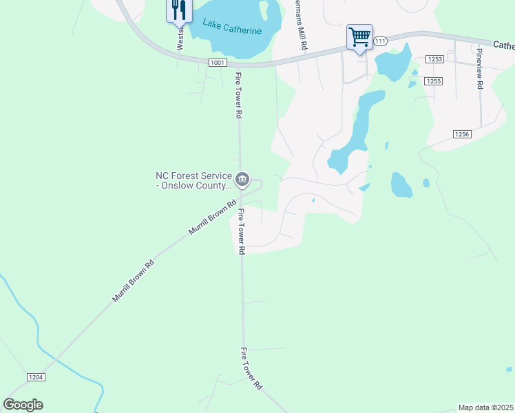 map of restaurants, bars, coffee shops, grocery stores, and more near 207 Fire Tower Road in Richlands