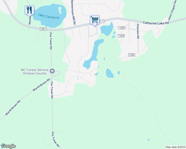 map of restaurants, bars, coffee shops, grocery stores, and more near 103 Sweet Bay Court in Richlands