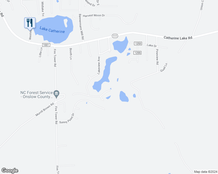 map of restaurants, bars, coffee shops, grocery stores, and more near 1317 Willow Springs Drive East in Richlands
