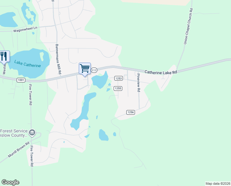 map of restaurants, bars, coffee shops, grocery stores, and more near 704 Brownwood Drive in Richlands