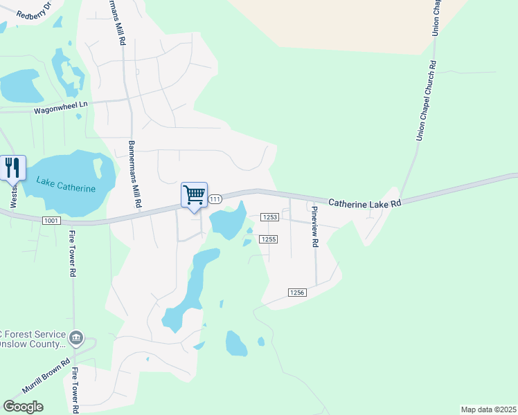map of restaurants, bars, coffee shops, grocery stores, and more near 460 Lake Drive in Richlands