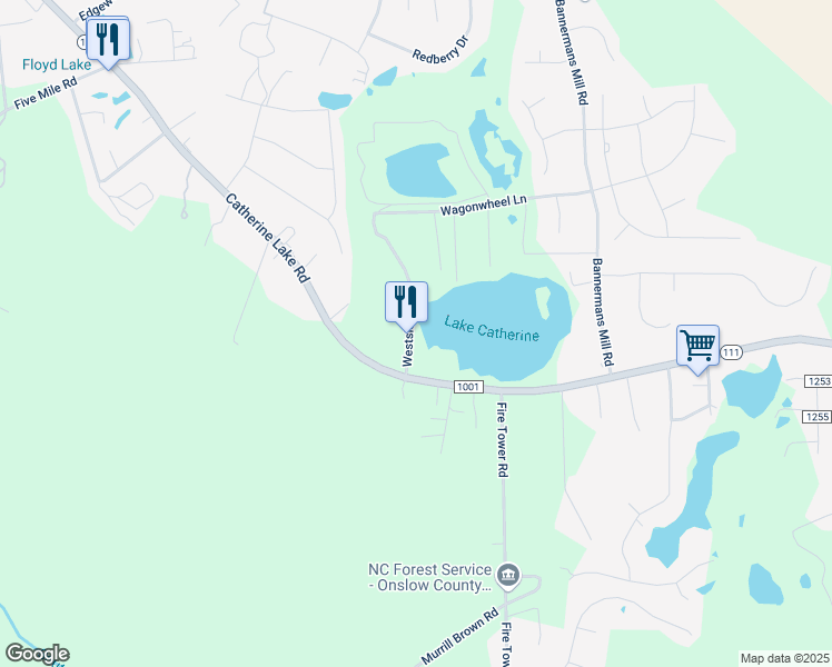 map of restaurants, bars, coffee shops, grocery stores, and more near 118 Westside Lane in Richlands