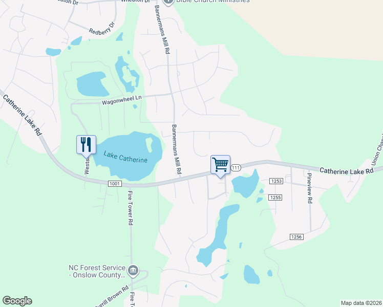 map of restaurants, bars, coffee shops, grocery stores, and more near 210 Star Gazer Court in Richlands