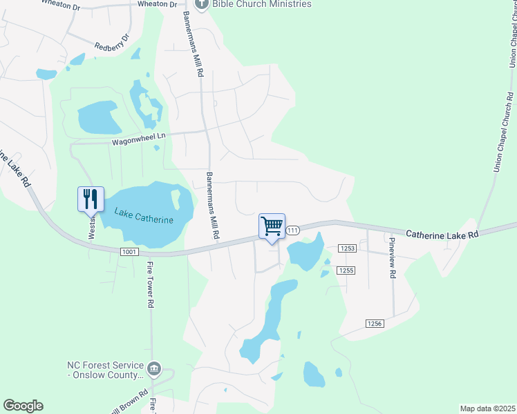 map of restaurants, bars, coffee shops, grocery stores, and more near 217 Star Gazer Court in Richlands
