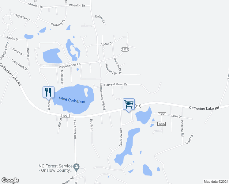 map of restaurants, bars, coffee shops, grocery stores, and more near 207 Star Gazer Court in Richlands