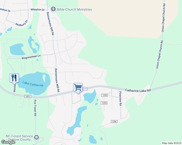 map of restaurants, bars, coffee shops, grocery stores, and more near 137 Harvest Moon Drive in Richlands