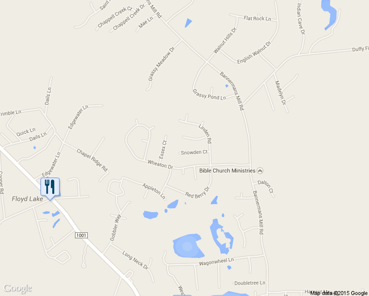 map of restaurants, bars, coffee shops, grocery stores, and more near 210 Snowden Court in Richlands