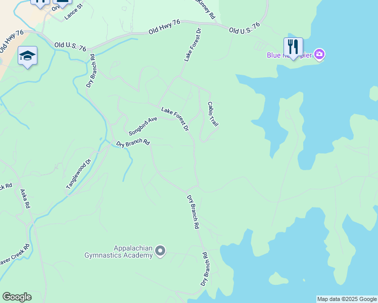 map of restaurants, bars, coffee shops, grocery stores, and more near 788 Lake Forest Drive in Blue Ridge