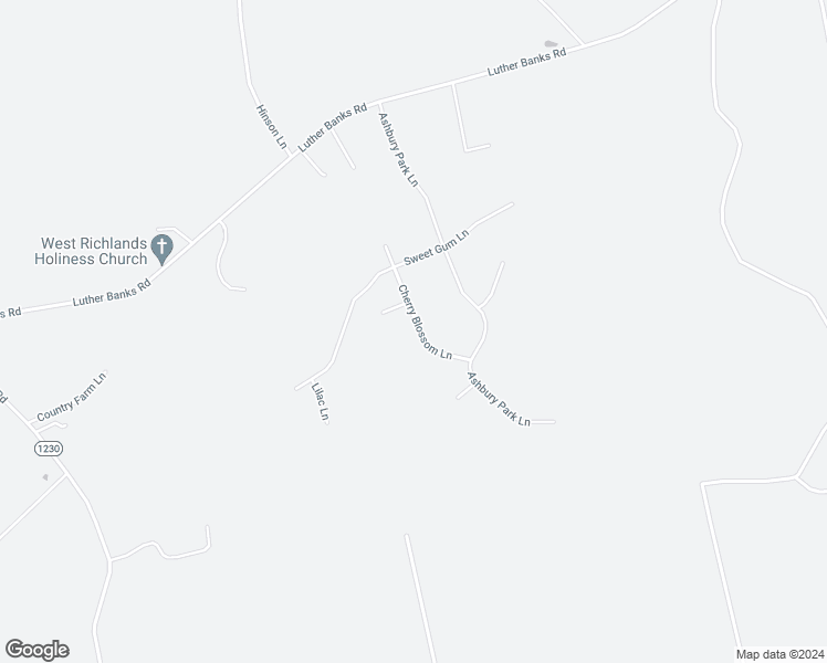 map of restaurants, bars, coffee shops, grocery stores, and more near 510 Cherry Blossom Lane in Richlands