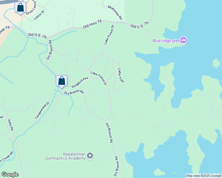 map of restaurants, bars, coffee shops, grocery stores, and more near 701 Lake Forest Drive in Blue Ridge
