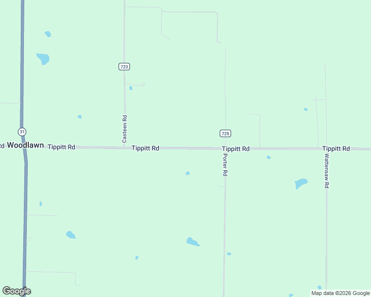 map of restaurants, bars, coffee shops, grocery stores, and more near 1036 Tippitt Road in Austin