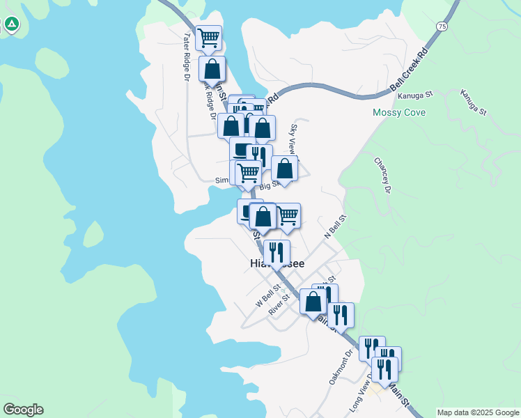 map of restaurants, bars, coffee shops, grocery stores, and more near 236 North Main Street in Hiawassee