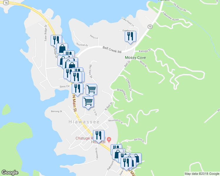 map of restaurants, bars, coffee shops, grocery stores, and more near Bell Street in Hiawassee