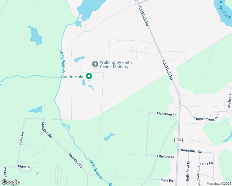 map of restaurants, bars, coffee shops, grocery stores, and more near 1226 Myra Road in Raeford