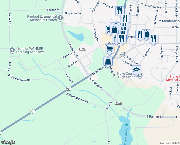 map of restaurants, bars, coffee shops, grocery stores, and more near 124 West Palmer Street in Raeford