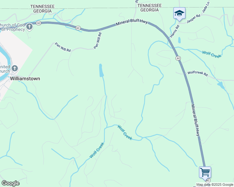 map of restaurants, bars, coffee shops, grocery stores, and more near 172 Wolf Creek Heights in Mineral Bluff