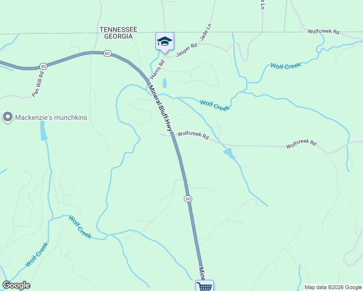 map of restaurants, bars, coffee shops, grocery stores, and more near 3633-3719 Mineral Bluff Hwy in Fannin