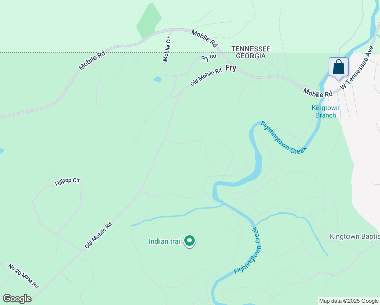 168 Fightingtown Creek Road, Epworth GA Walk Score