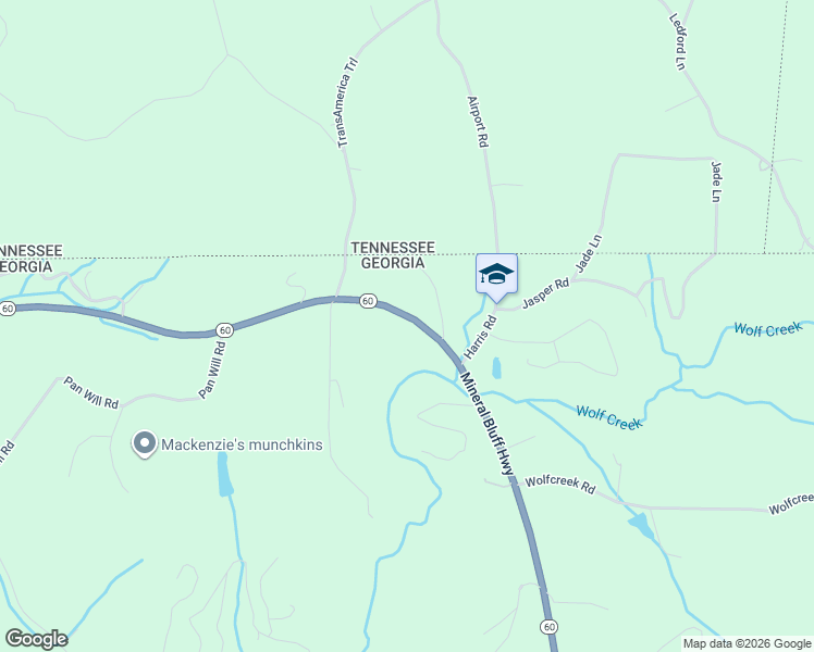 map of restaurants, bars, coffee shops, grocery stores, and more near 1990 Mineral Bluff Highway in Mineral Bluff