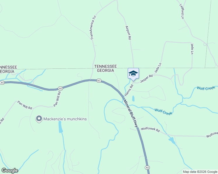map of restaurants, bars, coffee shops, grocery stores, and more near 1990 Mineral Bluff Highway in Mineral Bluff