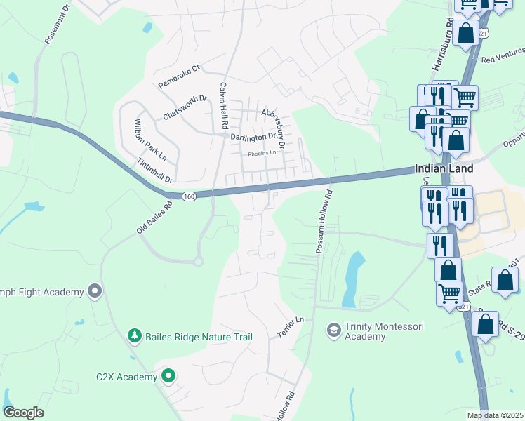 map of restaurants, bars, coffee shops, grocery stores, and more near 1004 Bailes Ridge Avenue in Fort Mill