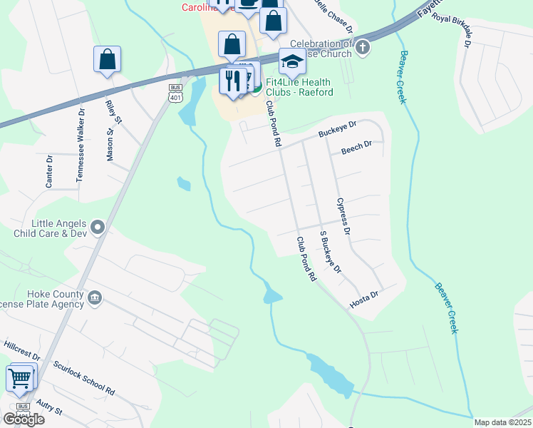 map of restaurants, bars, coffee shops, grocery stores, and more near 205 Rye Lane in Raeford
