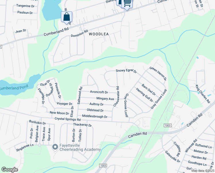 map of restaurants, bars, coffee shops, grocery stores, and more near 1464 Snowy Egret Drive in Fayetteville