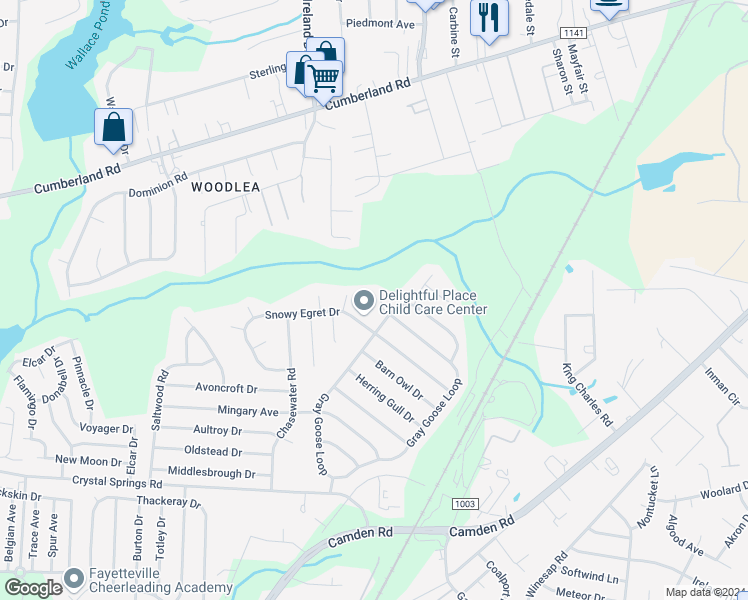 map of restaurants, bars, coffee shops, grocery stores, and more near 1317 Anhinga Court in Fayetteville