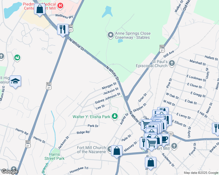 map of restaurants, bars, coffee shops, grocery stores, and more near 201 Morgan Street in Fort Mill