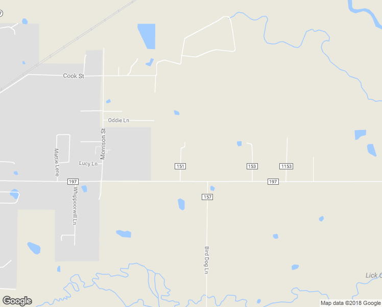 map of restaurants, bars, coffee shops, grocery stores, and more near 159 Ruby Road in Ward